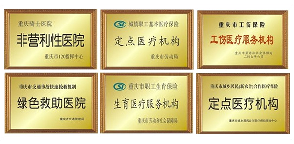 荣誉奖牌
